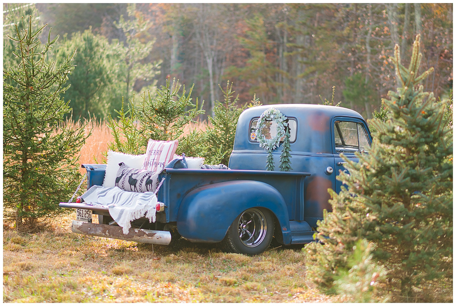 christmas tree farm mini session with blue truck
