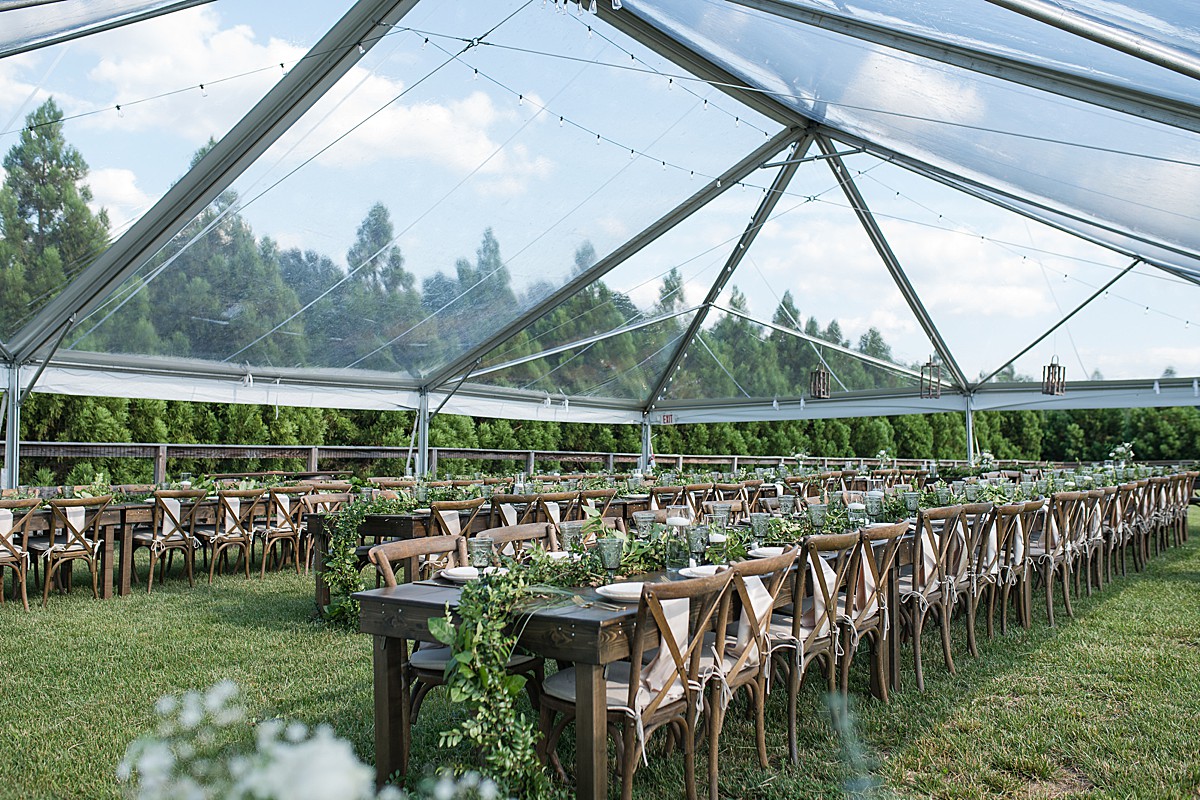 Backyard wedding in Virginia
