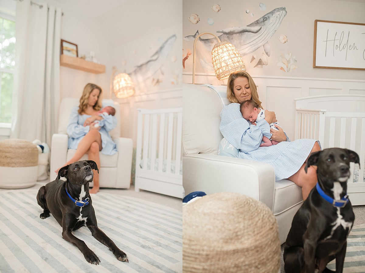 Lifestyle newborn photos with dog