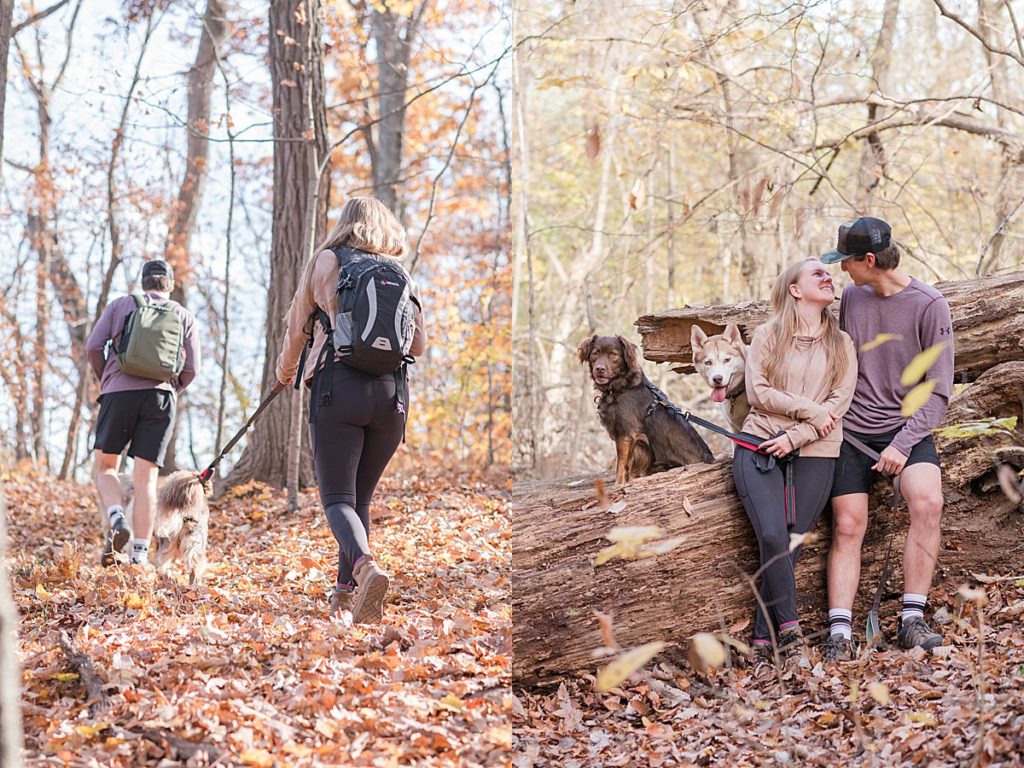 Engagement photos with dogs