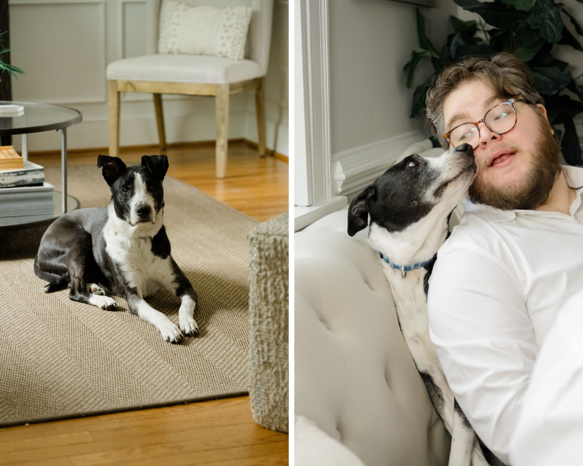 Black and white dog lounging on a rug in a cozy living room during wedding morning prep.