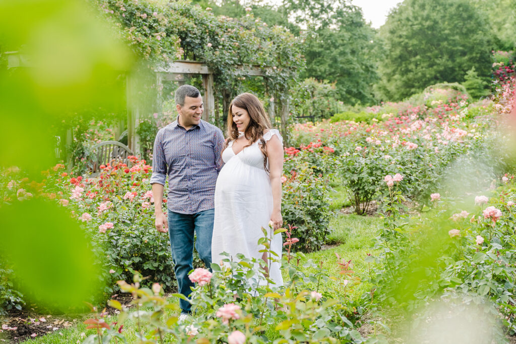 Expecting couple walking through the blooming Bon Air Rose Garden during golden hour, maternity portraits in Arlington VA