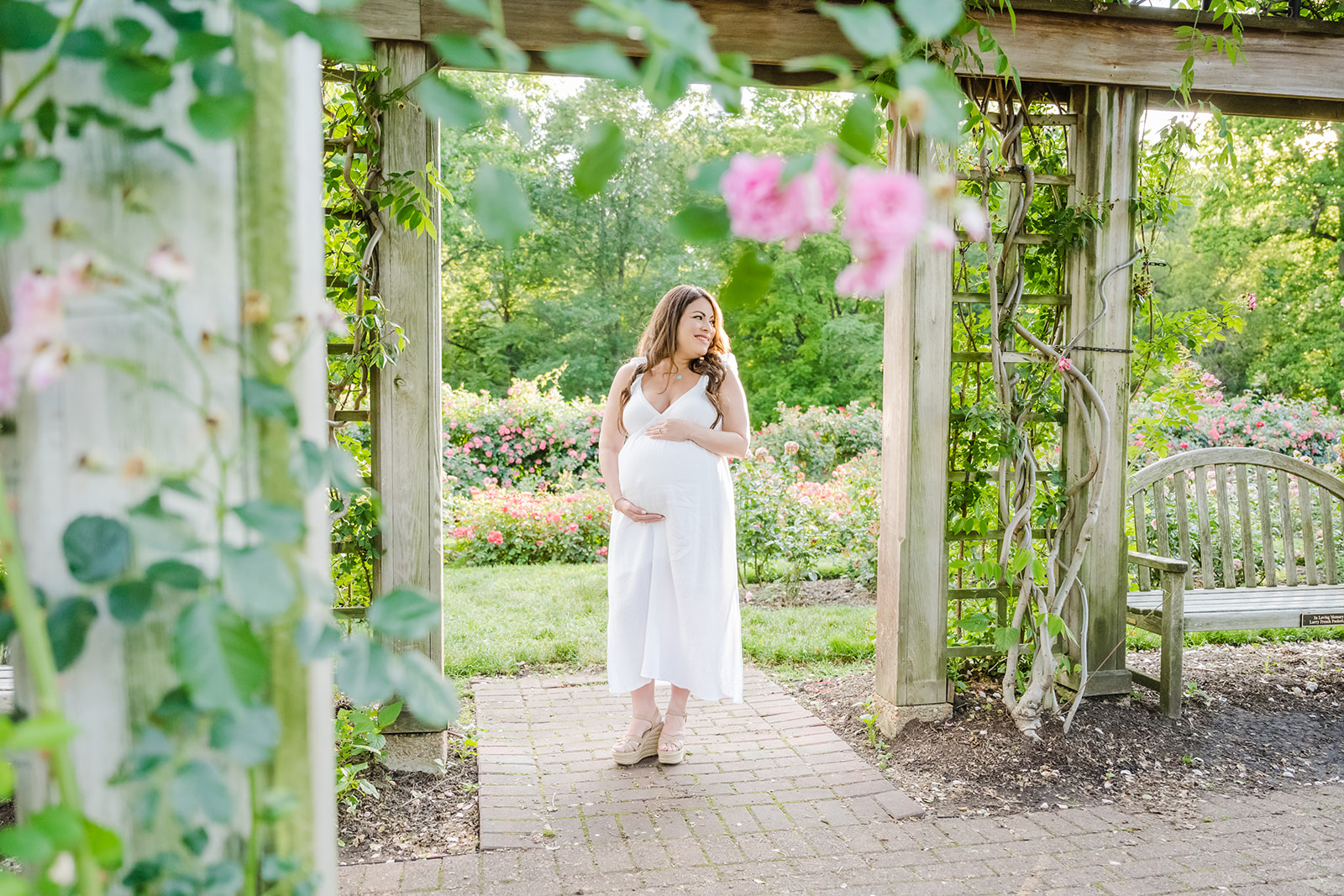 Golden Hour Mini Sessions Bon Air Rose Garden Arlington VA