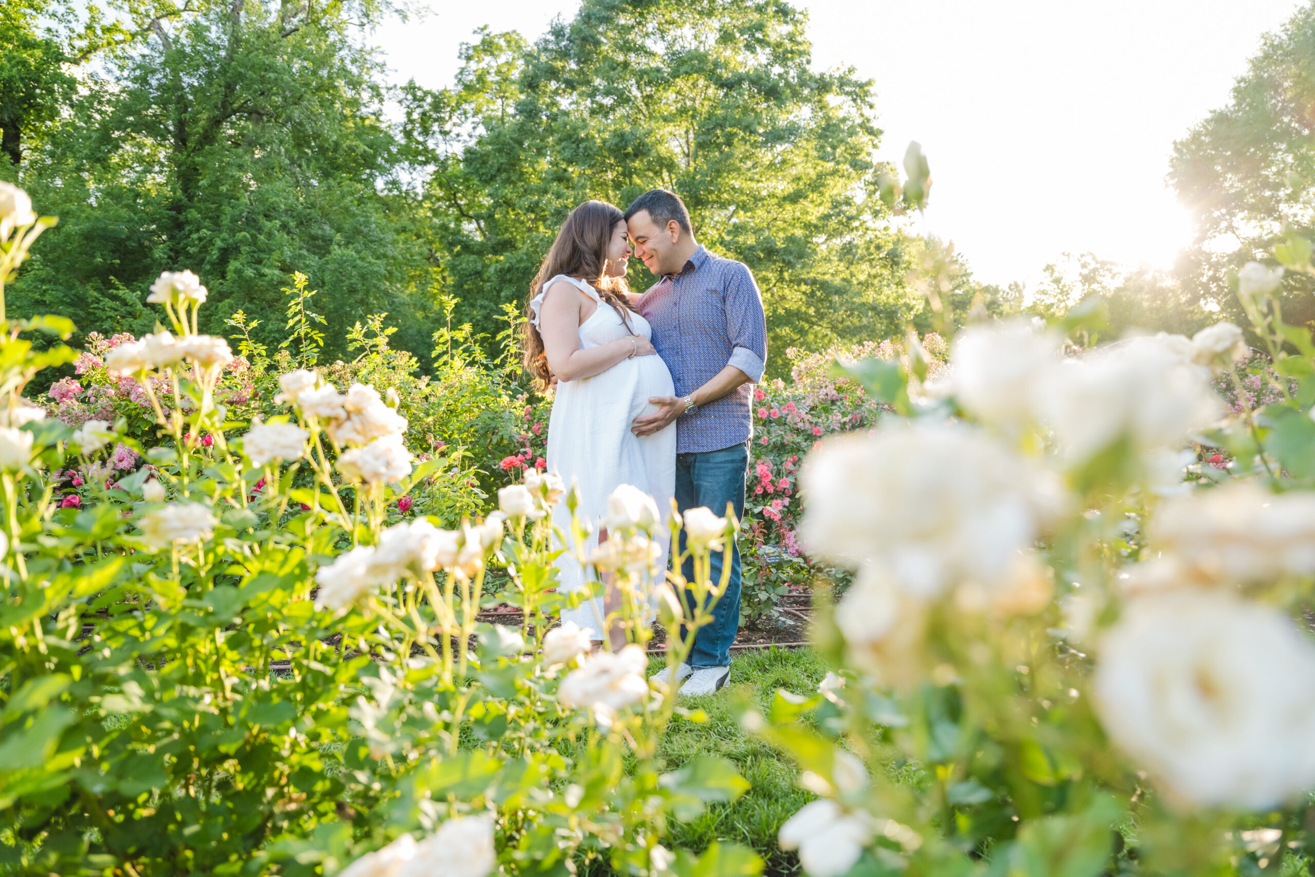 Expecting couple standing among blooming roses during a late pregnancy maternity session at the Bon Air Rose Garden in soft evening light.